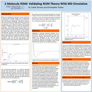 2-Molecule RISM Validating RISM Theory With MD Simulation